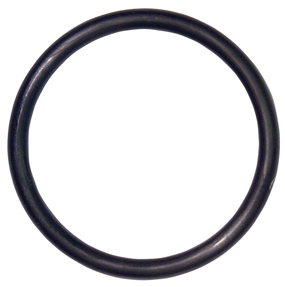 O-Ring, Rod Guide Reserve Tube