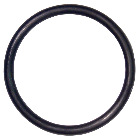 O-Ring, Rod Guide Pressure Tube